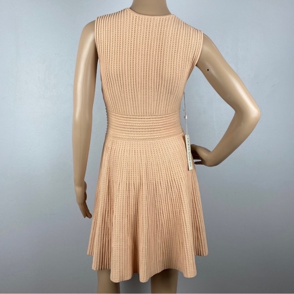 NEW RONNY KOBO REVOLVE SLEEVELESS SKATER MINI DRESS - Picture 7 of 8